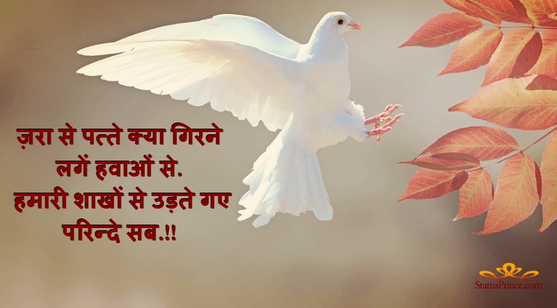 hindi advice image