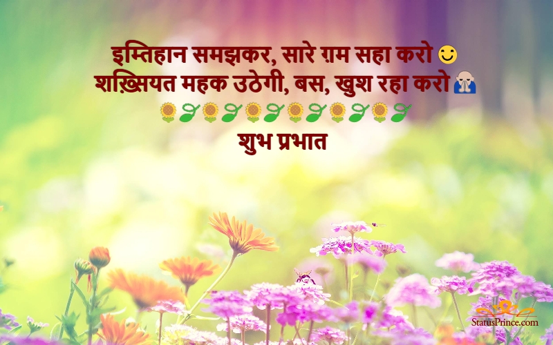 good morning hindi new images