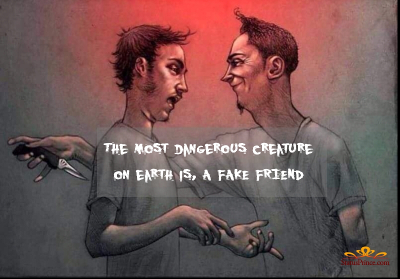 Fake Friends Wallpapers  Wallpaper Cave