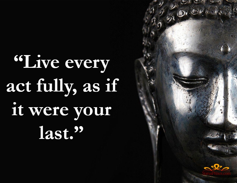 buddha quotes meditation