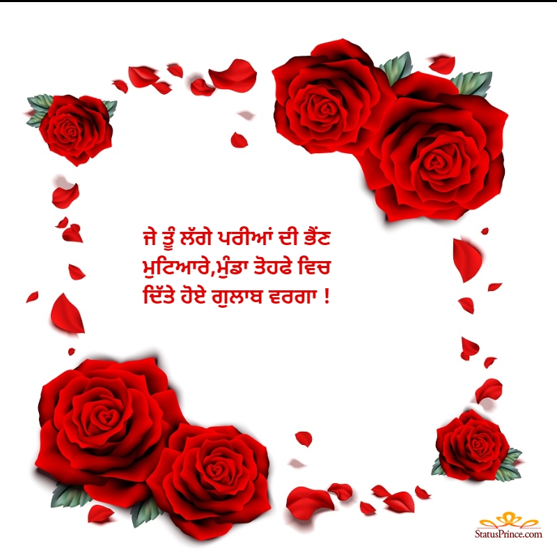 रोज डे शायरी - Rose day shayari image 2022 | Rose day shayari, Hanuman ji  wallpapers, Rose