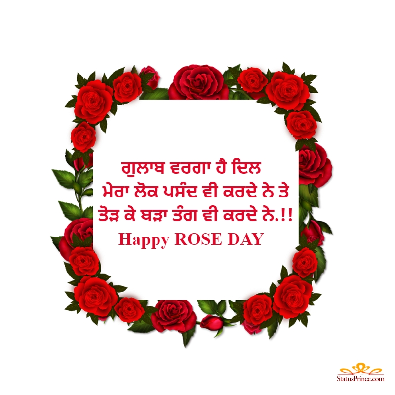 rose day punjabi status