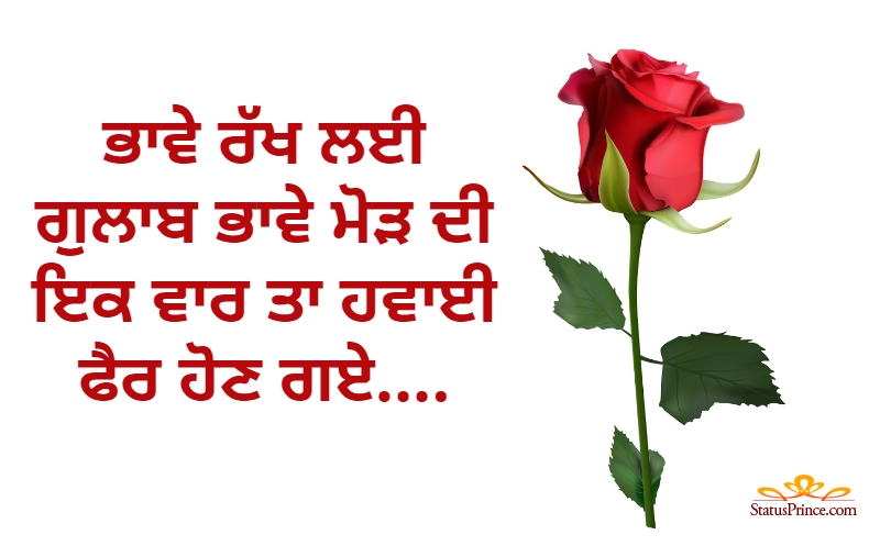 Featured image of post Rose Day Status In Punjabi / Many dreams keep boiling in the blood of the community for centuries.