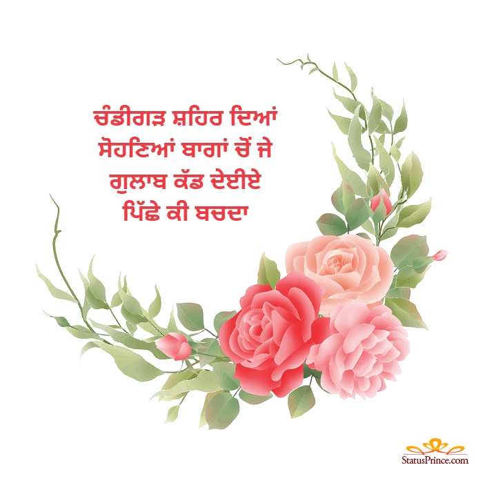 Rose Day Punjabi Wallpaper Number 14574