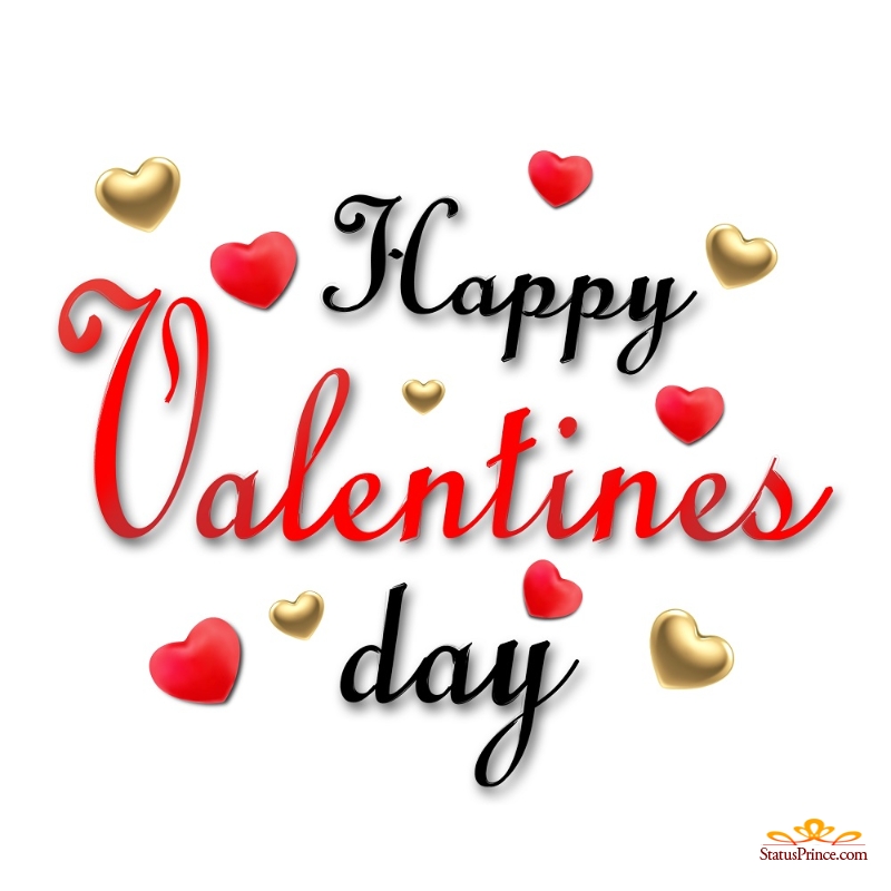 happy valentines day hd wallpapers