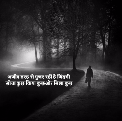 123+ Wallpapers for Latest Hindi Status & Shayari | New collection of Best  Status