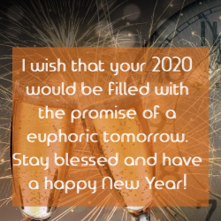 happy new year education quotes