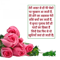 happy rose day hindi wallpapers