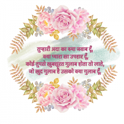 rose hindi wallpapers