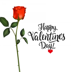 happy valentines day hd wallpapers