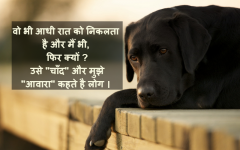 hindi thoughts best