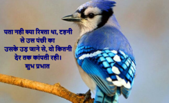 good morning hindi nature images