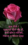 good morning shayari hindi m