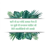hindi shayari quotes in hindi