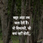 hindi shero shayari quotes